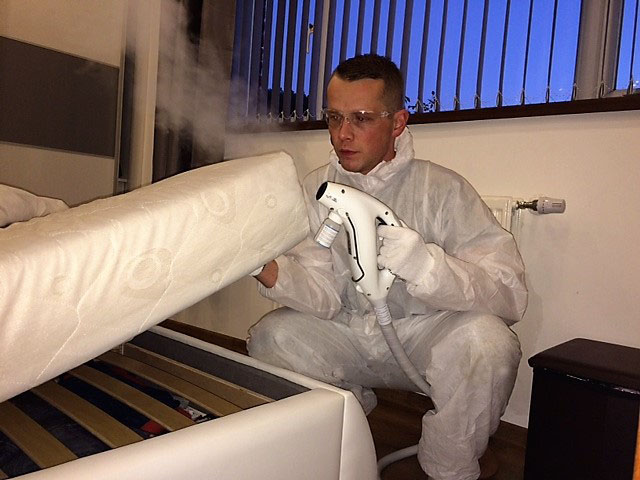 Comprehensive pest control solutions to protect your home